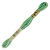 Ață pentru broderie DMC Mouliné (împărțit, 6 fire), 8 m - 491-125, Variegated - Seafoam Green