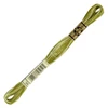 Ață pentru broderie DMC Mouliné (împărțit, 6 fire), 8 m - 493-94, Variegated - Khaki Green