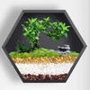 Pietricele decor, 5-8 mm, 500 g - alb