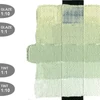 Vopsea acrilică Golden Acrylics Heavy Body, 59 ml - 1371, titan green pale