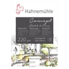 Hahnemühle Concept Bloc de desen, schițe și pictură , 220 g, 20 coli - A3