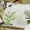Hahnemühle Bamboo Mixed Media bloc universal pentru pictură și desen din bambus, 265 g, 25 coli - 30x40 cm