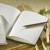 Hahnemühle Bamboo Sketch caiet  de desen și schițe din bambus, 105 g, 64 coli, A5