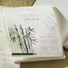 Bloc de desen și schițe  Hahnemühle Bamboo Sketch din bambus, 105 g, 30 coli, A4