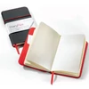 Caiet Hahnemühle DiaryFlex, 100 g, 10,4x18,2 cm, grilă punctată