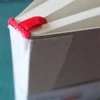Inserție înlocuibilă pentru notes Hahnemühle DiaryFlex, 100 g, 10,4x18,2 cm, grilă punctată