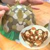 Imagine 6/7 - Lut , 1 kg - roșu la ardere 