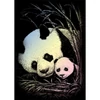 Set tablou gravură cu stilou gravură , 12x18 cm - Panda, holografic