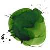 Liquitex cerneală acrilică, 30 ml - 224, Hooker's green hue permanent
