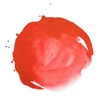 Liquitex cerneală acrilică, 30 ml - 294, naphthol red light