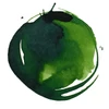 Liquitex cerneală acrilică, 30 ml - 315, sap green permanent