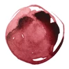 Liquitex cerneală acrilică, 30 ml - 504, muted pink