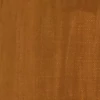 Vopsea pentru restaurare Maimeri Restauro, 20 ml - 161, raw sienna