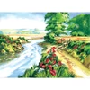 Set de colorat după numere, culori acrilice+pensulă, 29x39 cm - Camp de mac