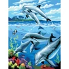 Set de colorat după numere, culori acrilice+pensulă, 22x30 cm - Delfini