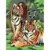 Set de colorat după numere, culori acrilice+pensulă, 22x30 cm - Tigri