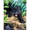 Set de colorat după numere, culori acrilice+pensulă, 22x30 cm - Leopard negru