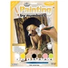 Set de colorat după numere, culori acrilice+pensulă, 22x30 cm - catelus Labrador