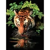 Set de colorat după numere, culori acrilice+pensulă, 22x30 cm - Thirsty tiger