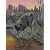 Set de colorat după numere, culori acrilice+pensulă, 22x30 cm - Imagine in oglinda