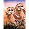 Set de colorat după numere, culori acrilice+pensulă, 22x30 cm - Bufnite