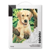 Reeves set pictură pe numere, 30x40 cm - Labrador