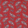 Imagine 1/3 - Material patchwork  - Moda - Belle Isle by Minick and Simpson 14923-12