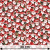 Imagine 2/3 - Material patchwork  - Makower - Christmas 23 Santa Crowd  2587-1