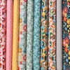 Imagine 5/5 - Material patchwork  - Moda - Frankie by Basic Grey 30671-15