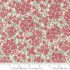 Material patchwork  - Moda - Comfort and Joy by Create Joy 39755-11