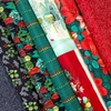Material Patchwork - Moda - Winterly de Robin Pickens 48764-19