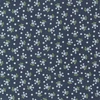 Imagine 1/3 - Material patchwork  - Moda - Nantucket Summer by Camille Roskelley 55266-13