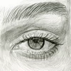 Sakura Pigma Brush marker pensulă  - cool gray