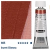 Schmincke Akademie vopsea acrilică, 60 ml - 665, burnt sienna