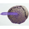 Pudra cu efect metalic Schmincke Aqua Bronze, 20 ml - 811, auriu bogat