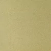 Hârtie pentru pastel Sennelier Pastel Card, 360 g, 50x65 cm - 08, light green