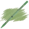 Creioane pastel Sennelier - 173, moss grey green