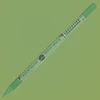 Creioane pastel Sennelier - 173, moss grey green
