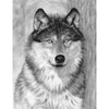 Set desen schițe și grafică cu instrumente, 22x30 cm - Wolf