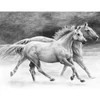 Set desen schițe și grafică cu instrumente, 22x30 cm - Cai