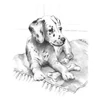Set desen grafic schita cu instrumente, 22x30 cm - catelus dalmatian