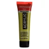 Talens Amsterdam vopsea acrilică, 20 ml - 621, olive green light