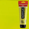Talens Amsterdam vopsea acrilică, 250 ml - 243, greenish yellow