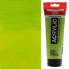Talens Amsterdam vopsea acrilică, 250 ml - 617, yellow green