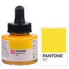 Cerneală marker Talens Pantone, 30 ml - 107