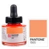 Cerneală marker Talens Pantone, 30 ml - 1565
