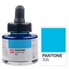 Imagine 8/8 - Cerneală marker Talens Pantone, 30 ml - 306