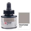 Imagine 8/8 - Cerneală marker Talens Pantone, 30 ml - 407