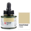 Cerneală marker Talens Pantone, 30 ml - 7500