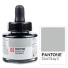 Cerneală marker Talens Pantone, 30 ml - cool gray  3